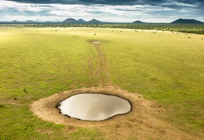 The ultimate Mbirikani Ranch