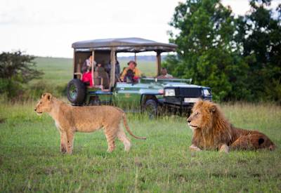 Spotting lions in the Masai Mara Game Reserve