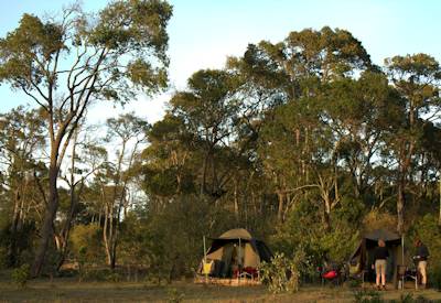 Camps are setup in the wilds of the Masai Mara