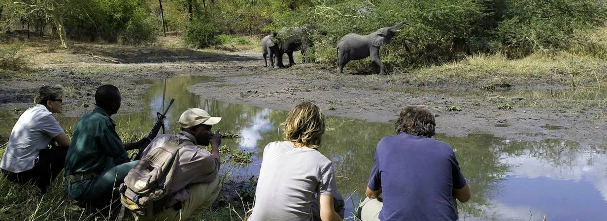 Malawi Big Five Safari