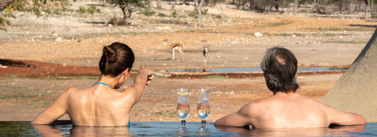 Anderssons at Ongava