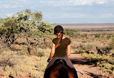 Büllsport Horse riding and riding lessons available