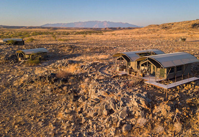 Options to spot a desert adapted elephant