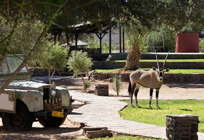 Canyon Oryx at this fun and quirky place