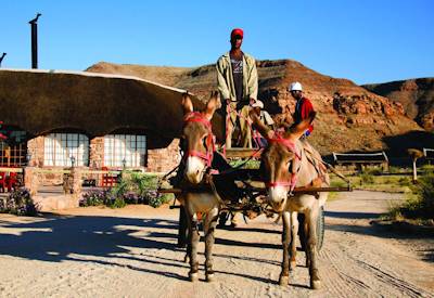 Donkey cart tours
