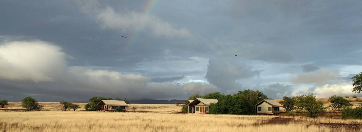 Desert Rhino Camp