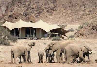 Damaraland wildlife from the dining room