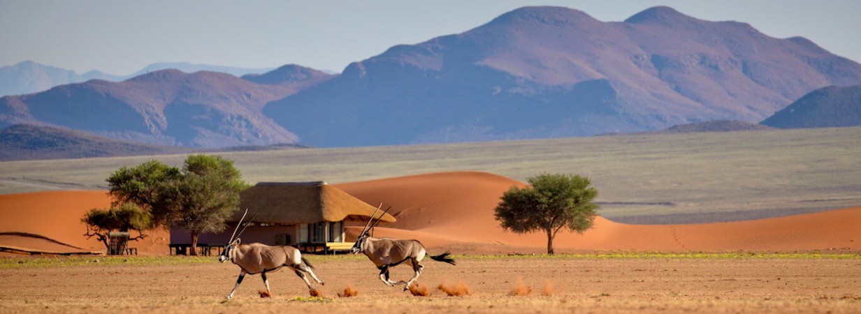 Kwessi Dunes Camp