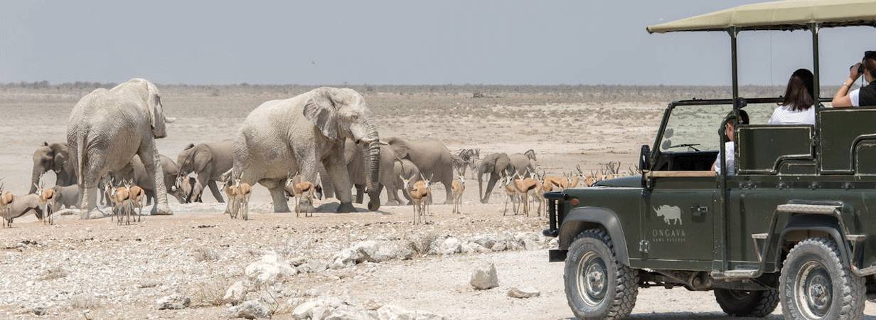 Ongava Tented Camp