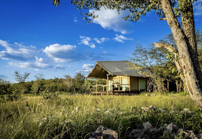 Private tented suites at Ongava Tented