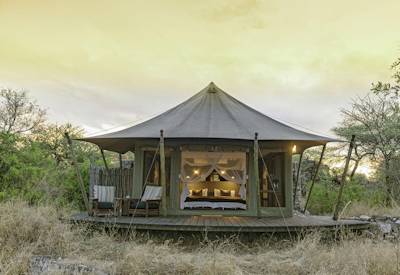 Wild tented safari camp