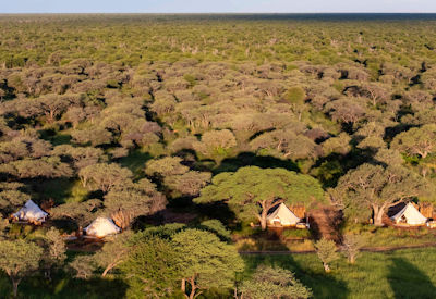 Trails Camp with a max of eight guests