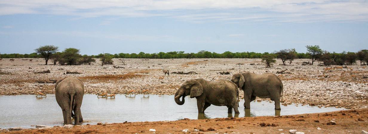 Namibia Northern Swing Safari