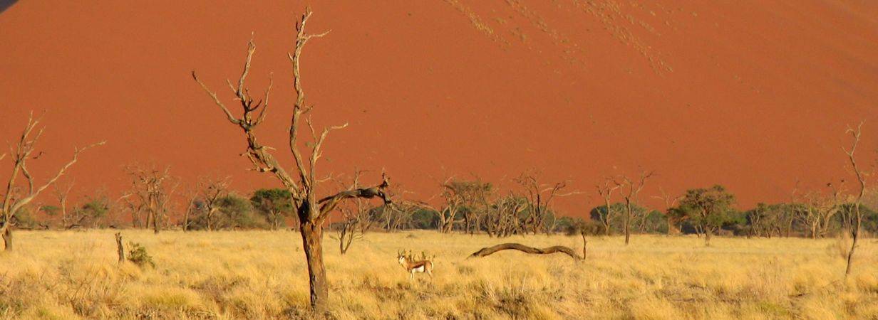 Windhoek to Victoria Falls Safari