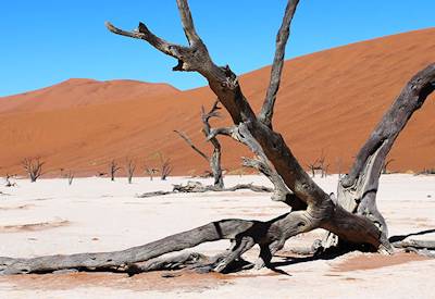 Sossusvlei Deadvlei world's highest dunes luxury mobile camping Namib Desert Namibia