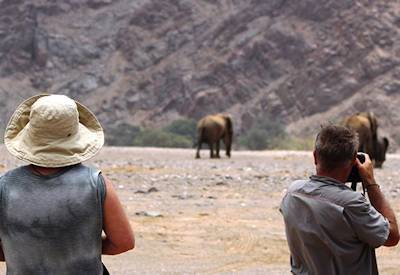 Desert-adapted elephant Damaraland Twyfelfontein Classic Namibia Safari mobile camping