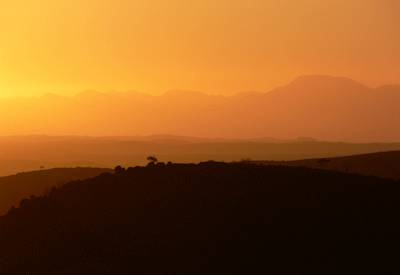 Desert elephant Hoanib River Damaraland Kaokoland Namibia camping safari