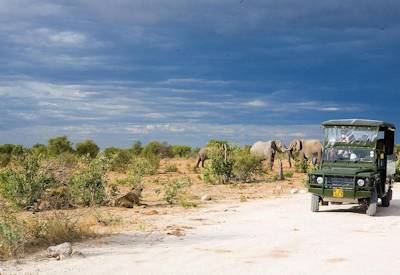 Etosha National Park west to east full-day game drive Okaukuejo Mushara Experience Namibia