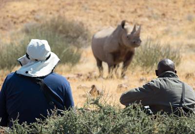 Desert-adapted black rhino tracking on foot Desert Rhino Camp Palmwag Concession Namibia