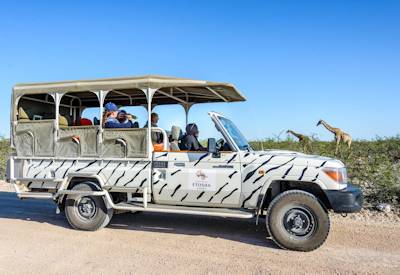 Self-drive game drive Etosha National Park 22270km² wildlife photography Namibia