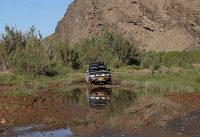 Hoarusib River valley desert elephant Kaokoland Namibia wild camping safari
