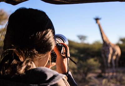 Okonjima Plains Camp Africat Foundation leopard cheetah close-up Day 1 Namibia safari