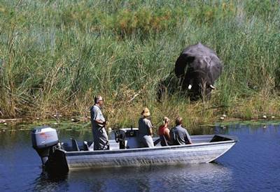 Chobe River Botswana Africa's largest elephant concentration boat cruise game drive