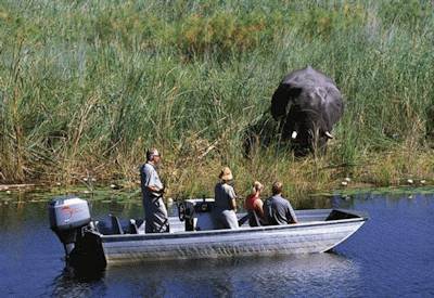 Hakusembe River Lodge Kavango River 400 bird species tiger fishing Namibia North East