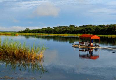 Mahango National Park baobabs red lechwe elephant Popa Falls Okavango River Namibia