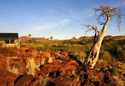 Palmwag Lodge Damaraland desert elephant black rhino Ovahimba excursion Namibia North