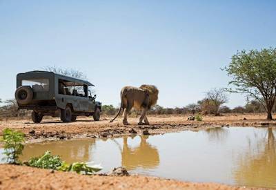 Mount Etjo Safari Lodge Okonjati hippo lake exceptional birdlife Northern Swing Namibia