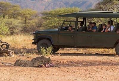 Etosha National Park Namutoni region game drive Northern Swing Namibia guided safari