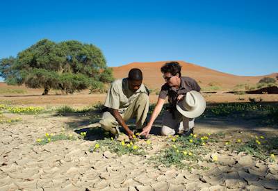 Sossusvlei Deadvlei aerial view dunes Little Kulala Namibian Highlights fly-in safari