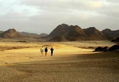 Private Kuidas Tented Camp Huab Valley ancient rock engravings Skeleton Coast fly-in Namibia