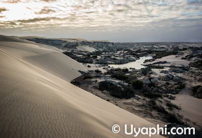 Kunene River mouth delta Nile crocodile green turtle Skeleton Coast Safari Namibia Angola