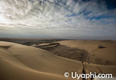 Skeleton Coast sand dunes Oryx herd Atlantic Ocean Namibia 12-day camping safari