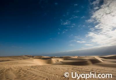 Skeleton Coast National Park desert lion black rhino desert elephant shipwrecks Namibia