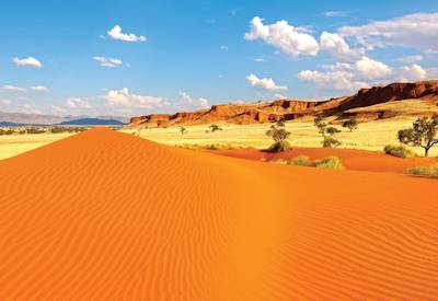 Sossusvlei dune climb world's highest dunes dawn Namib Desert Sossusvlei Shuttle Namibia