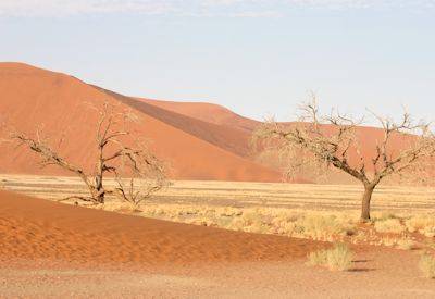 Sossusvlei Deadvlei Namib Desert world's highest dunes Windhoek Victoria Falls safari
