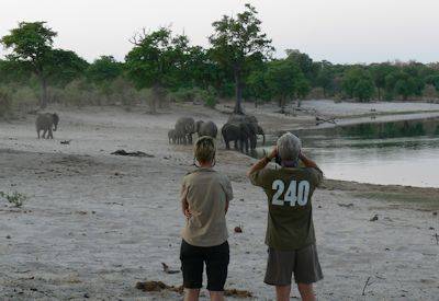Kavango River mokoro excursion Mahango Game Reserve hippo elephant Namibia safari