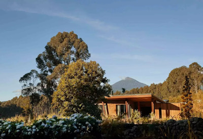 One&Only Gorillas Nest foothills Virunga Mountains Volcanoes National Park Rwanda