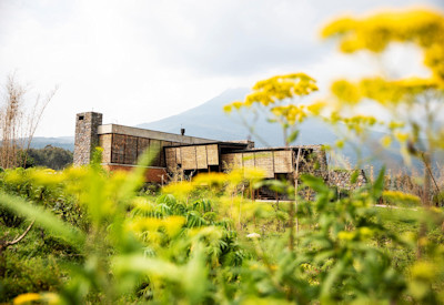 Singita Kwitonda Lodge above average gorilla trekking Volcanoes National Park Rwanda