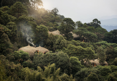 Wilderness Bisate forest villas Volcanoes National Park tree nursery reforestation Rwanda
