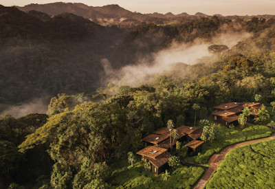 Nyungwe National Park largest montane rainforest Africa Roaming Rwanda Safari Rwanda