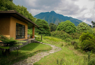 Wilderness Sabyinyo Silverback Lodge Virunga Volcanoes forest views Rwanda