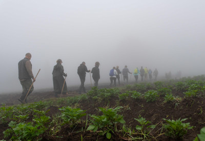 Gorilla trekking hiking Volcanoes National Park Sabyinyo Safari Rwanda