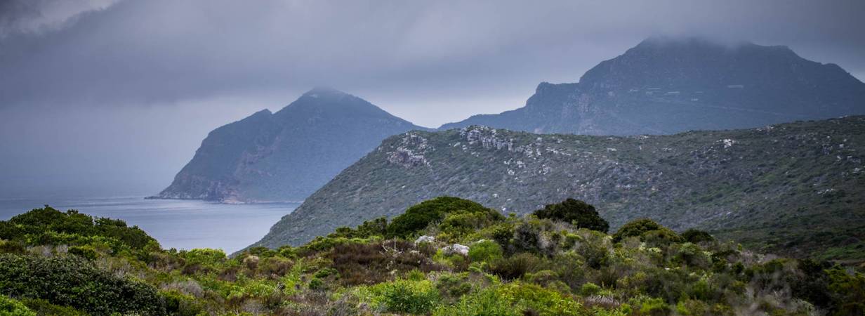 Cape Point Nature Reserve