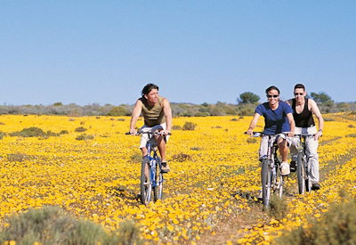Treasure hunts and moutain biking options
