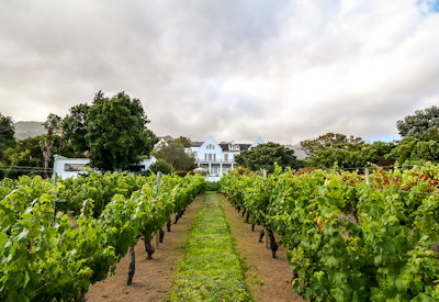 Cape Town's vineyard luxury hotel
