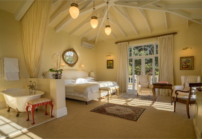 Colona safari suite